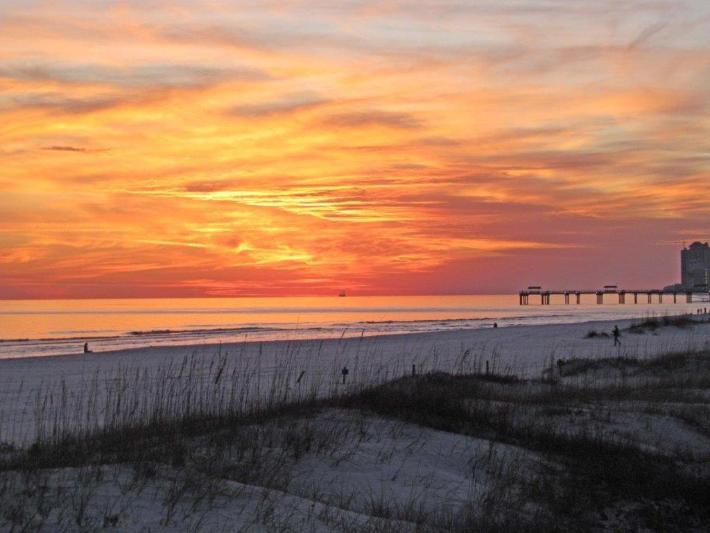 Beachview 216 By Albvr - Studio In The Heart Of It All, Just Steps To The Beach And Hangout! Gulf Shores Exteriör bild